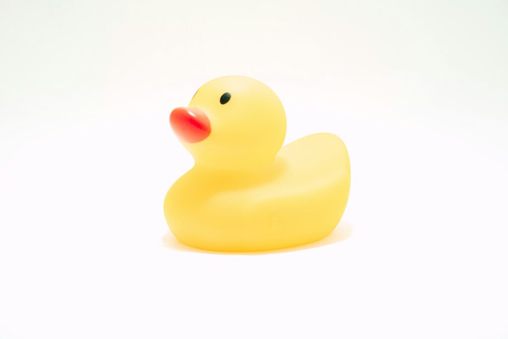Picture of a curious-looking rubber duck