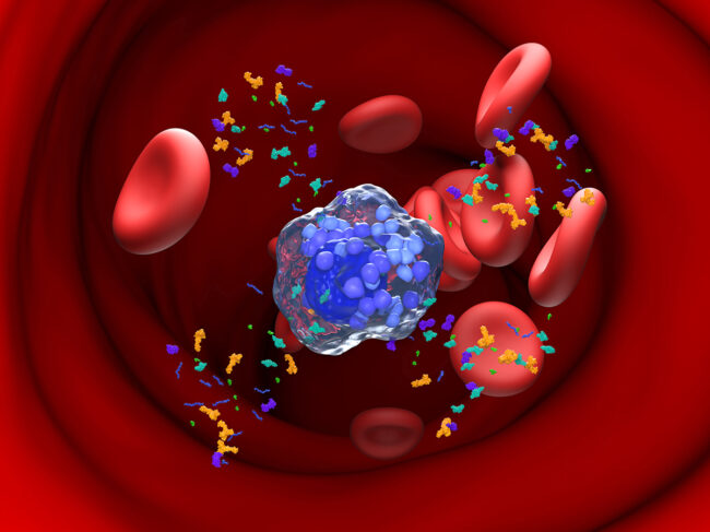 Illustration of mast cell emitting granules